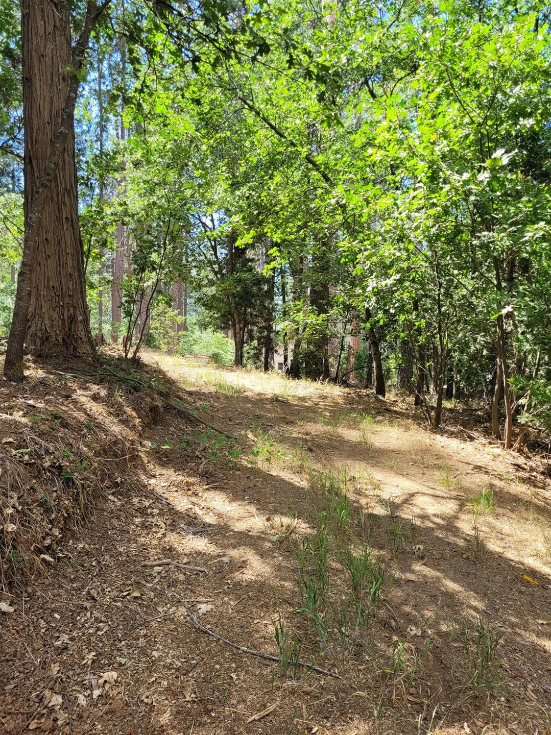 9810 9810 Smith Station Rd