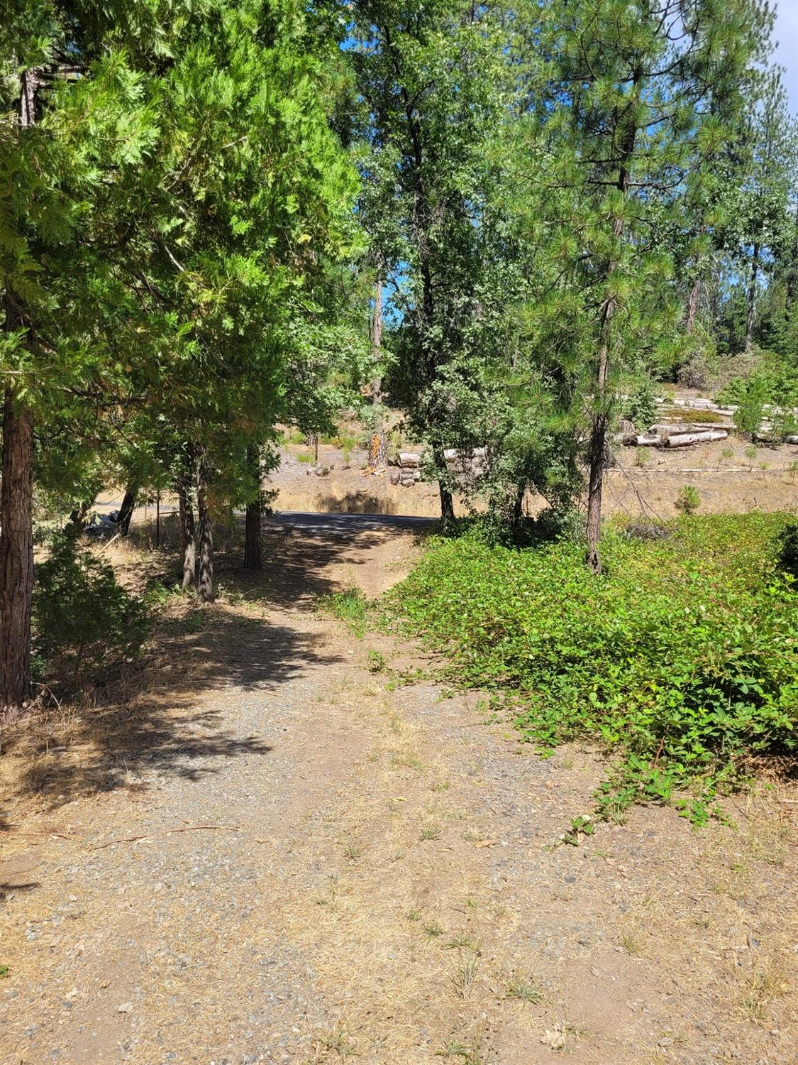 9810 9810 Smith Station Rd