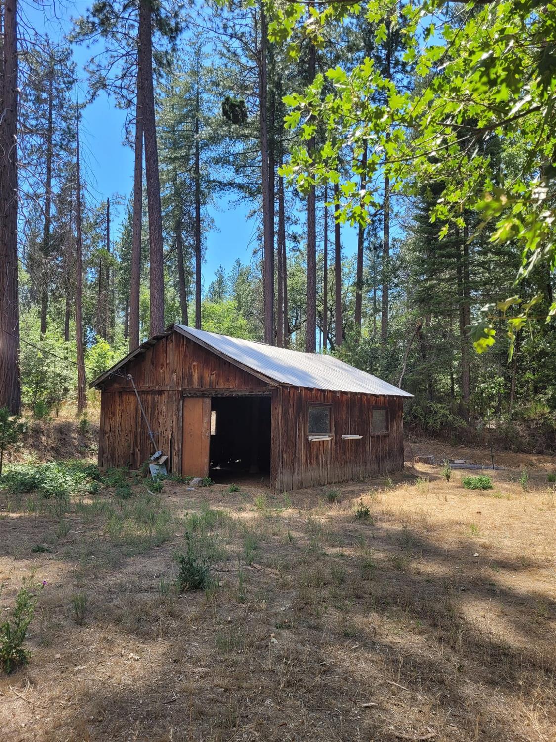 9810 9810 Smith Station Rd