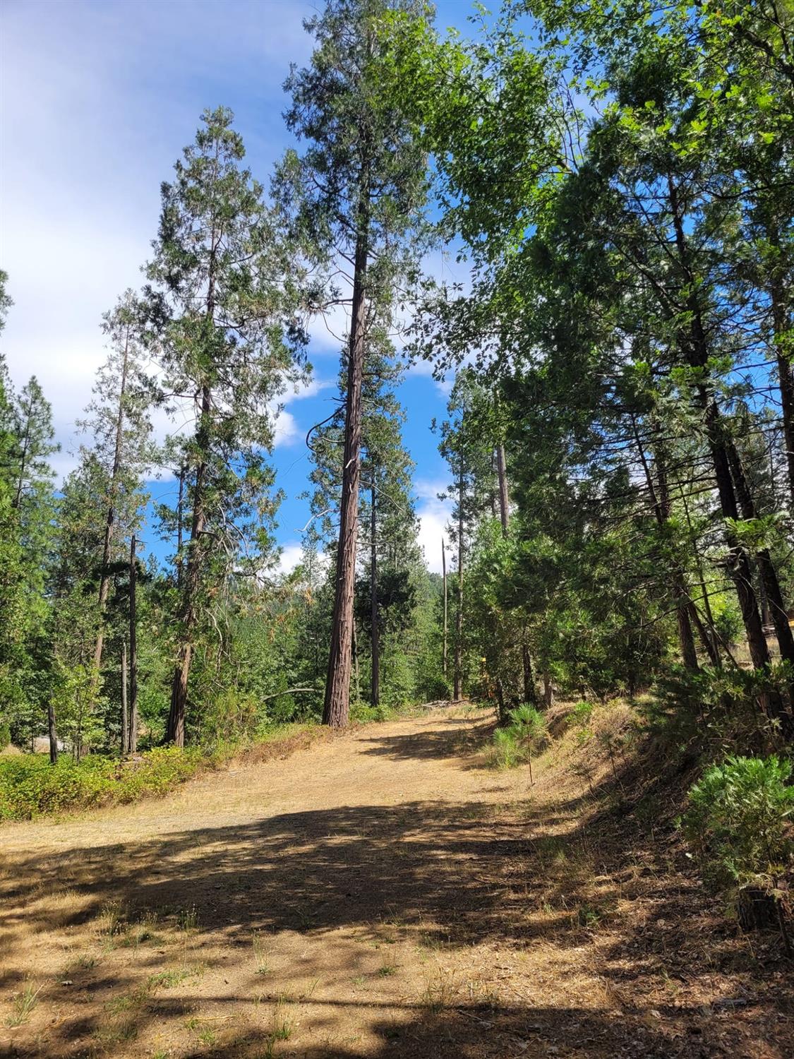9810 9810 Smith Station Rd