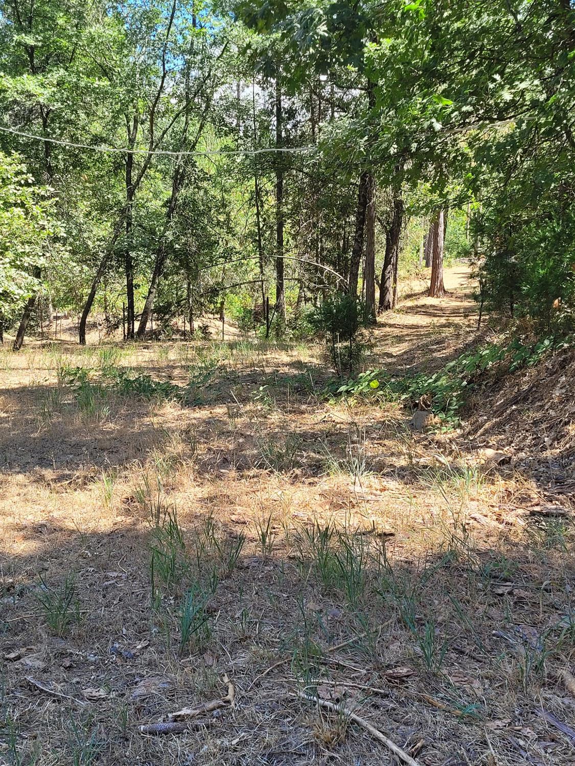 9810 9810 Smith Station Rd