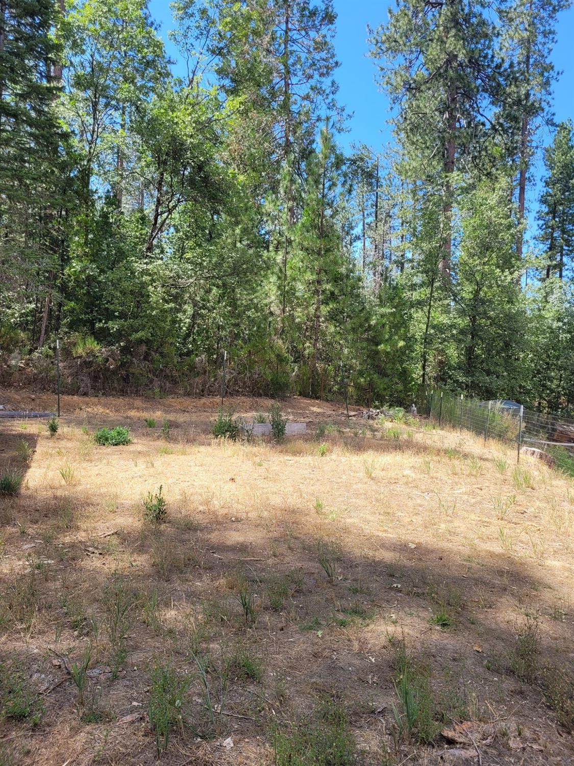9810 9810 Smith Station Rd