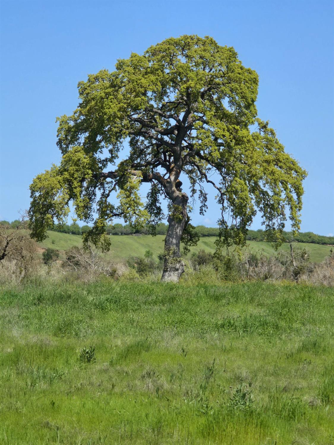 12919 Lancaster Road