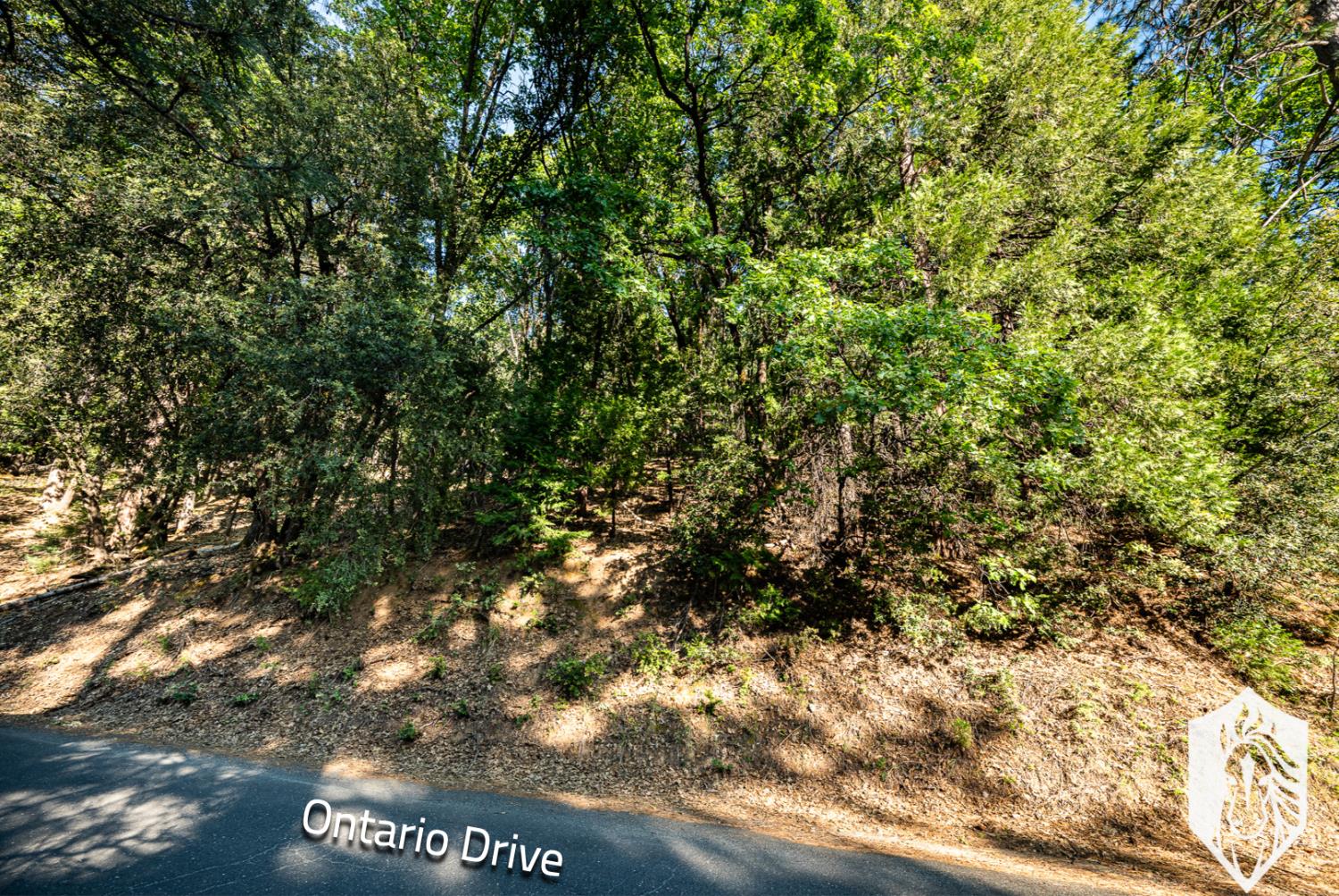 23475 Ontario Drive
