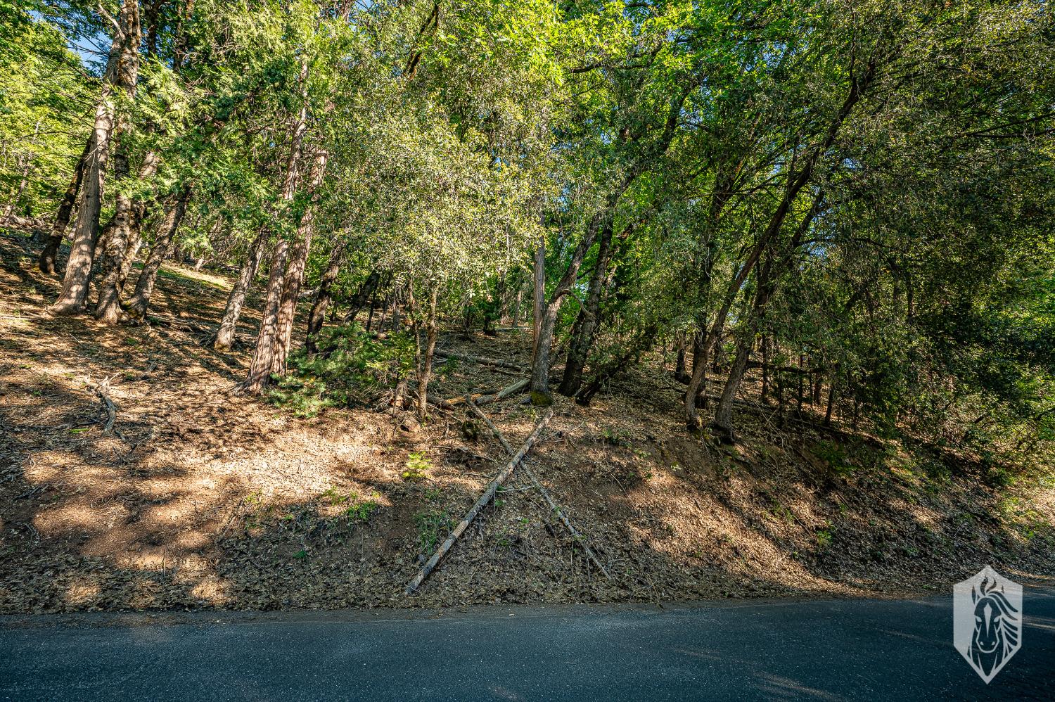 23475 Ontario Drive