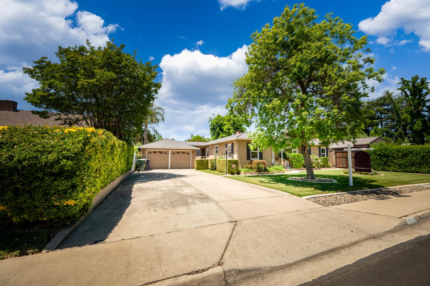 1233 Sycamore