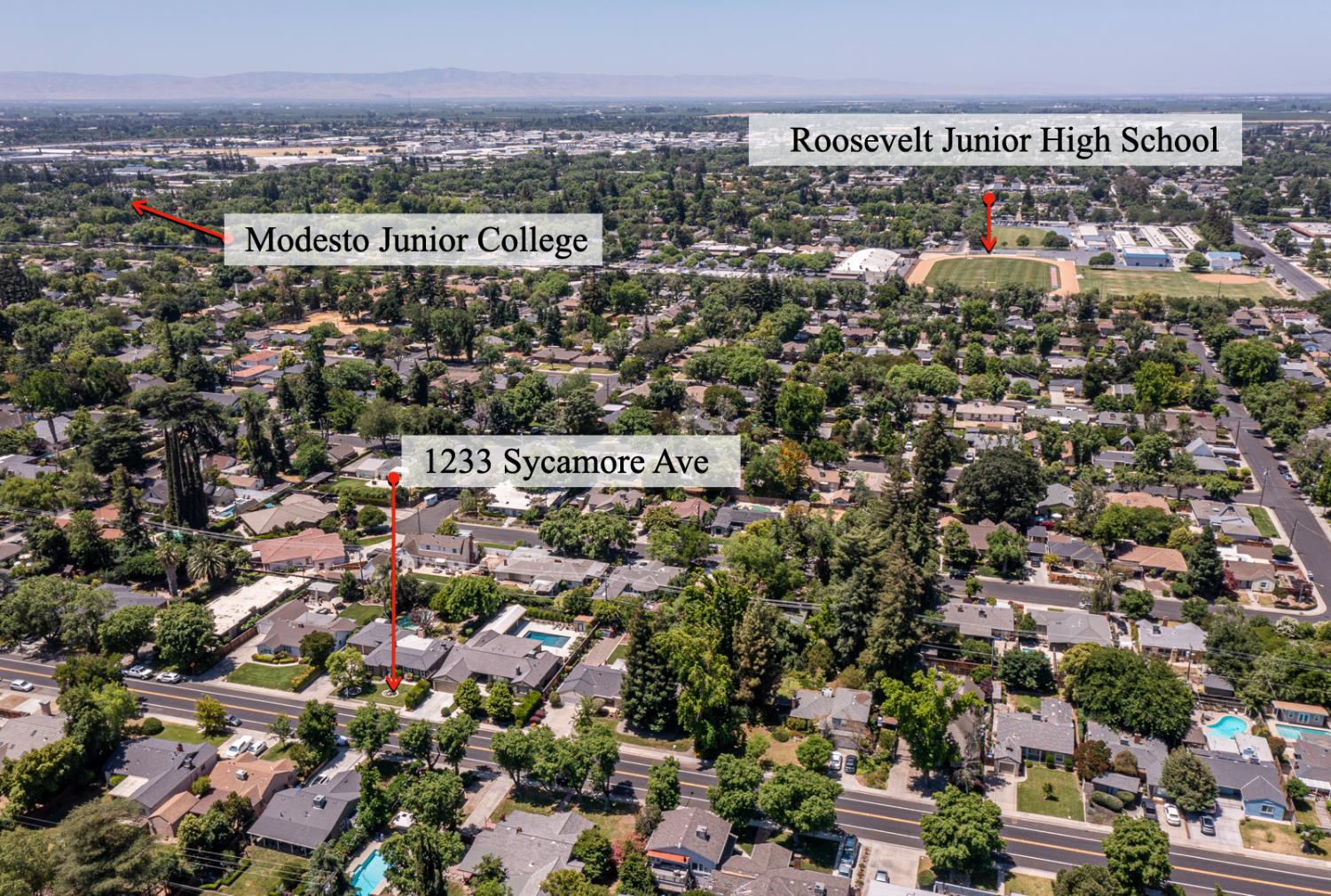 1233 Sycamore