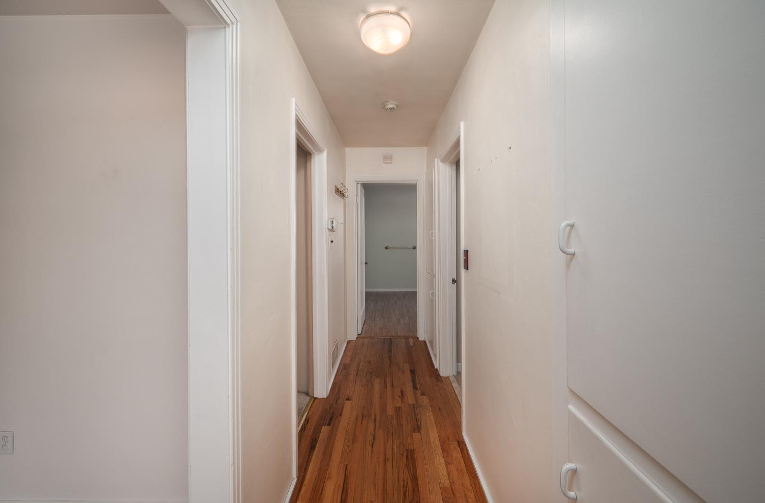 1233 Sycamore