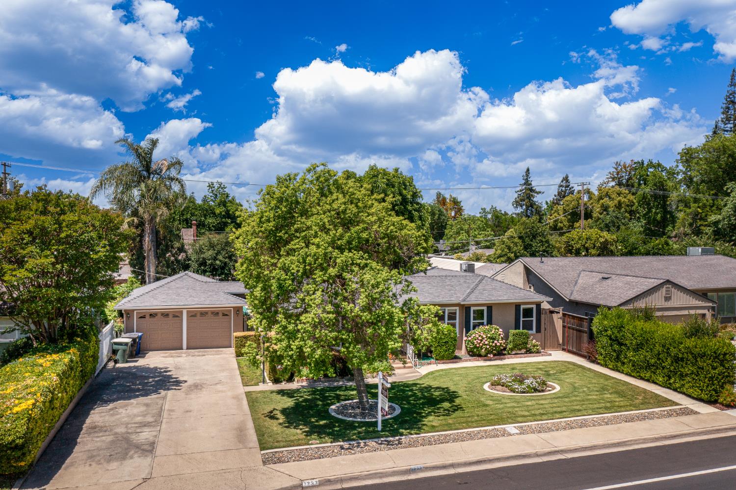 1233 Sycamore