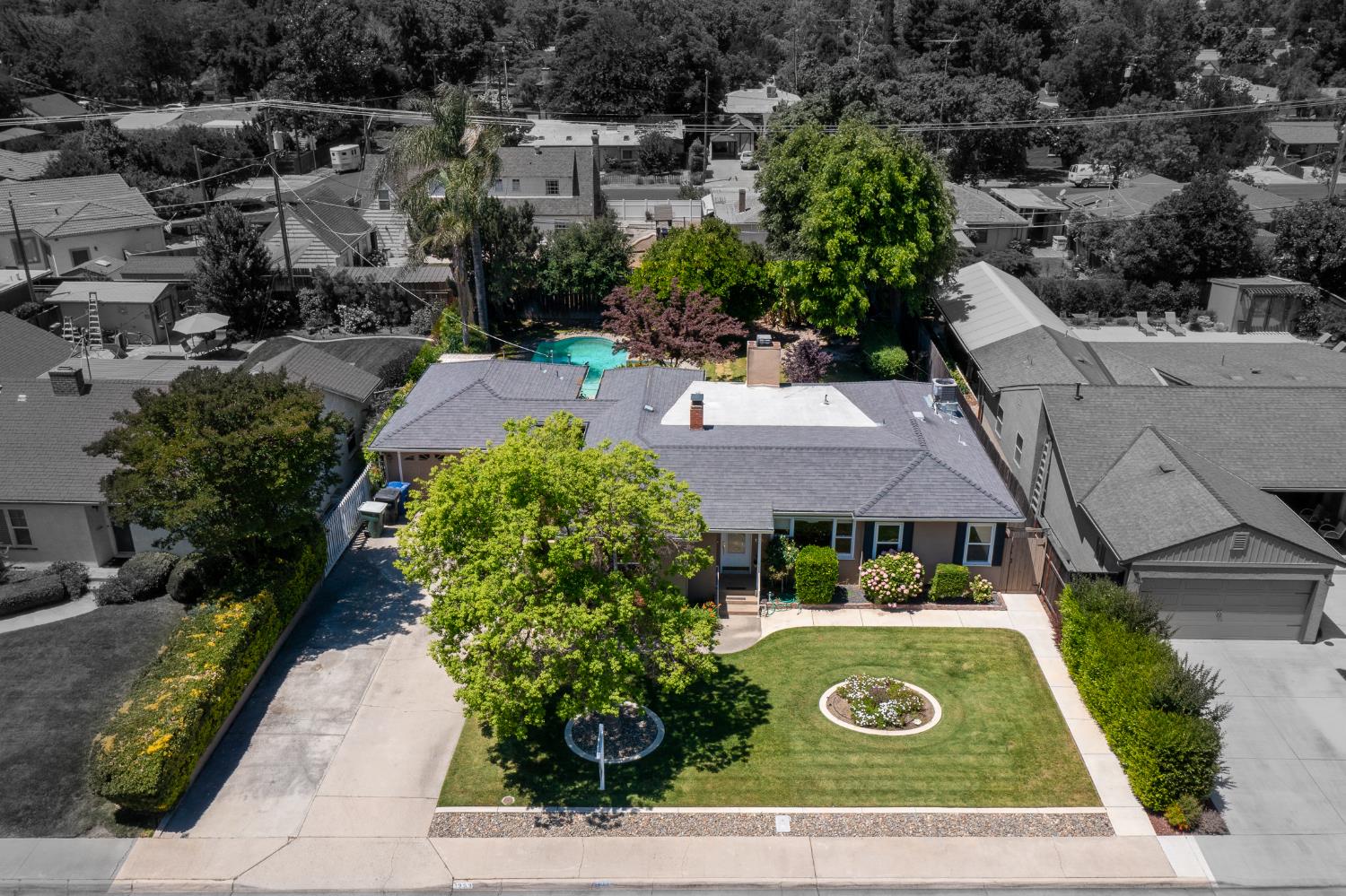 1233 Sycamore