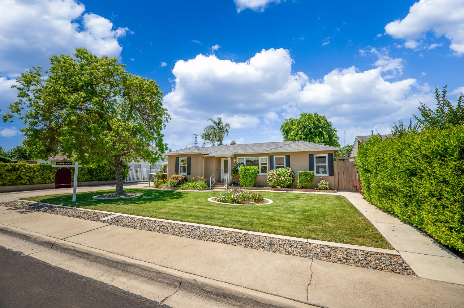 1233 Sycamore