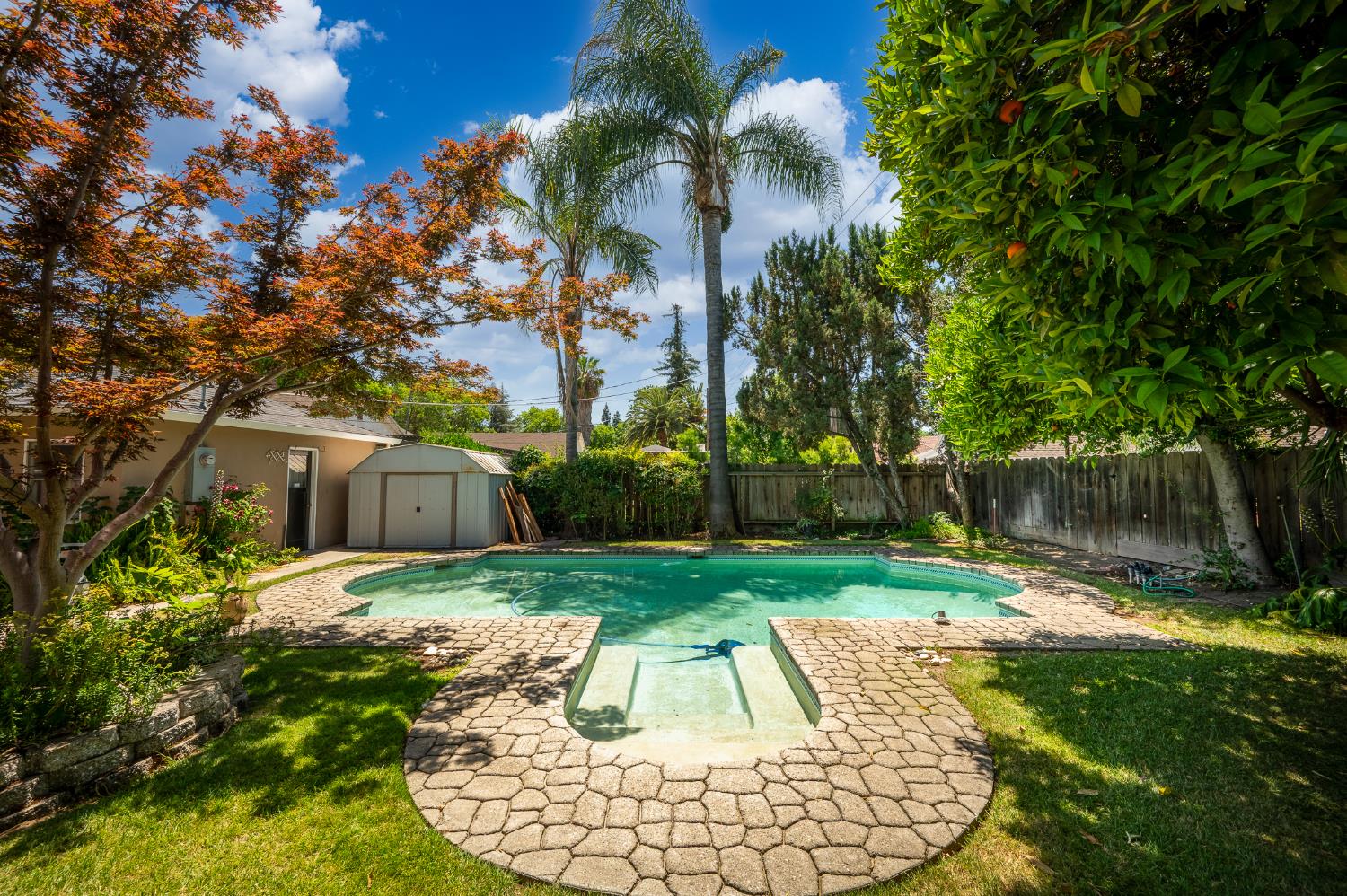 1233 Sycamore