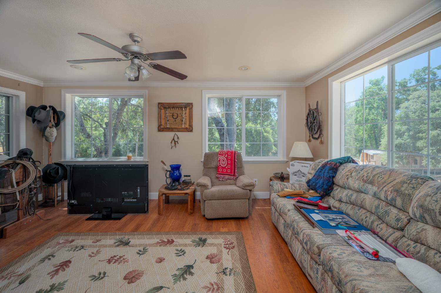 16631 Atencio Court