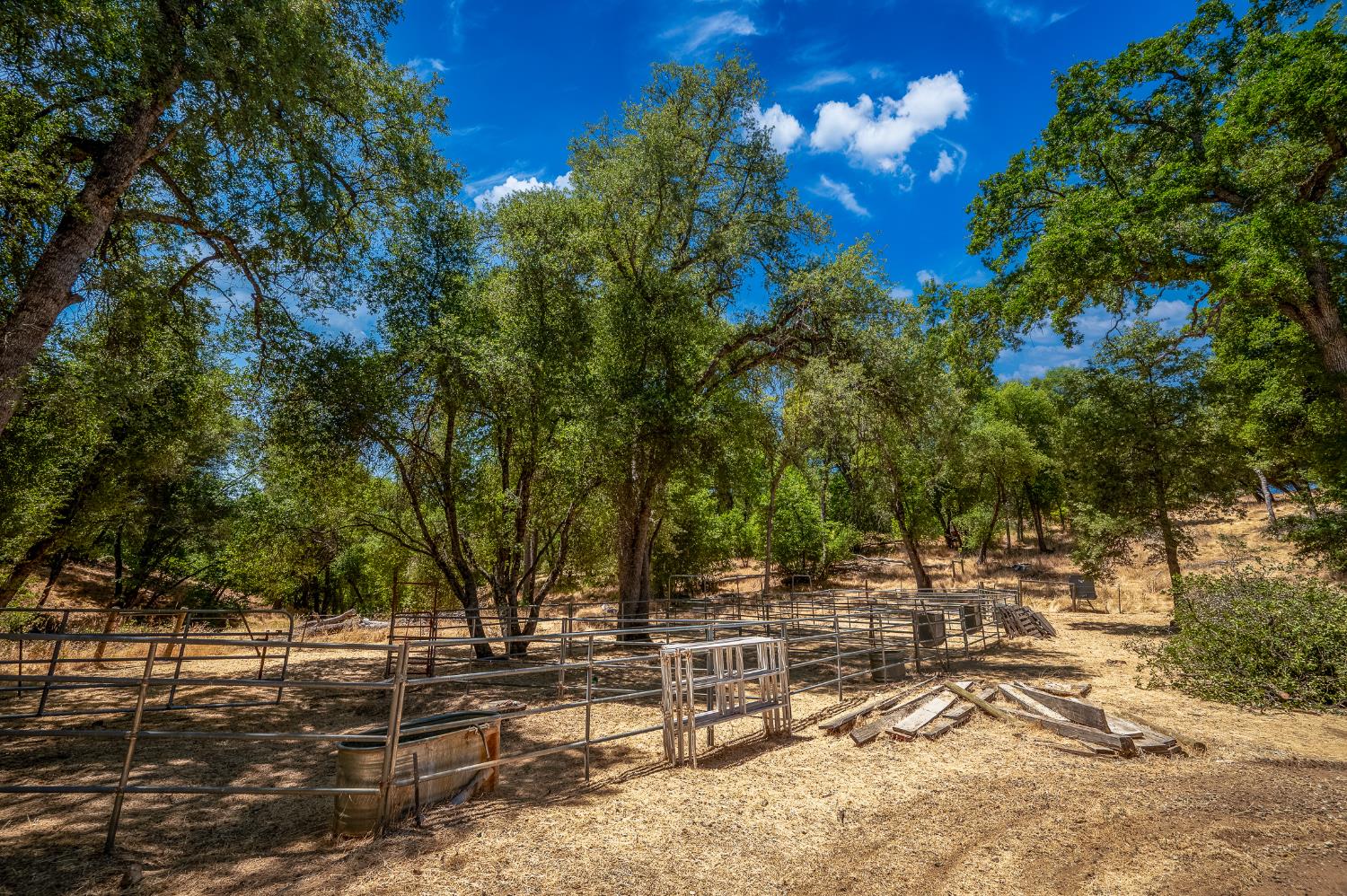 16631 Atencio Court