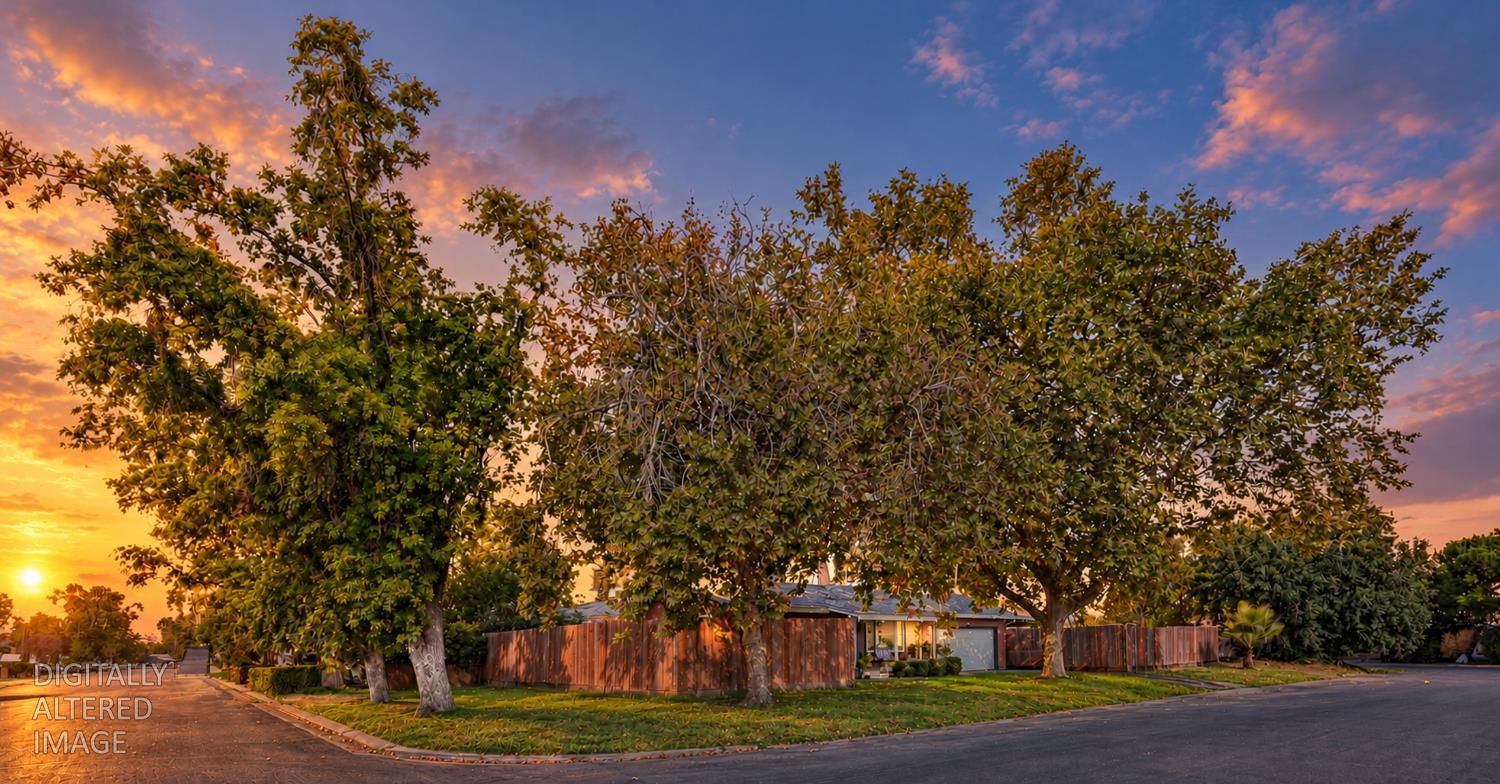 615 Trask Lane
