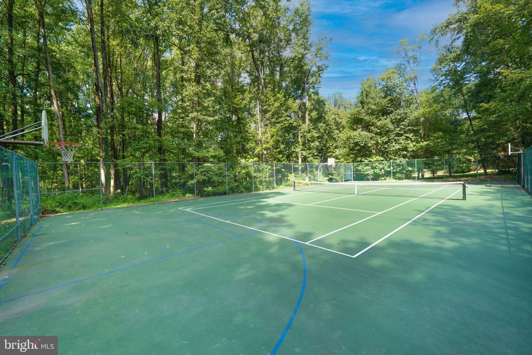 9509 LIBERTY TREE LANE