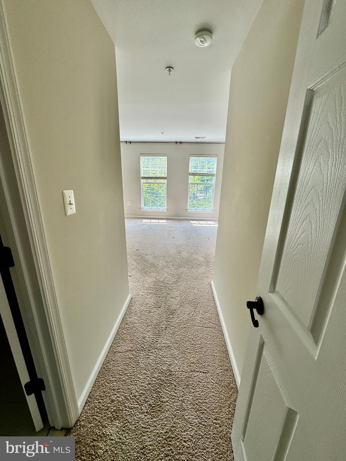 6251 Woodruff Springs Way
