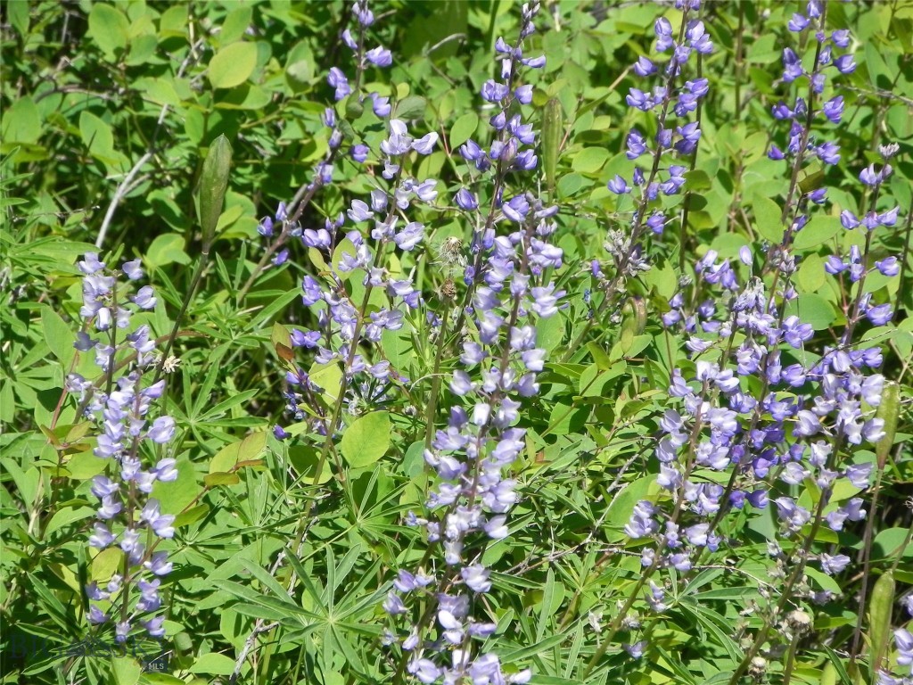 NHN Karst Stage Loop