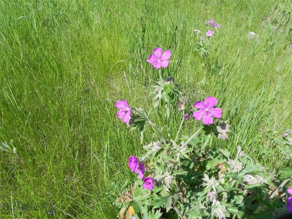 NHN Karst Stage Loop