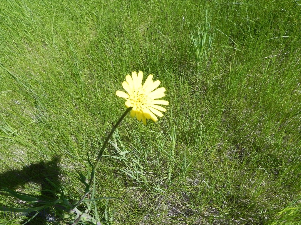NHN Karst Stage Loop