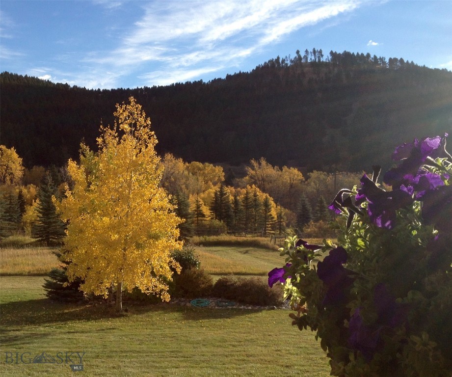 13515 Cottonwood Canyon. Road