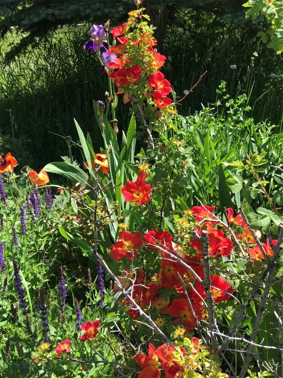 13515 Cottonwood Canyon. Road