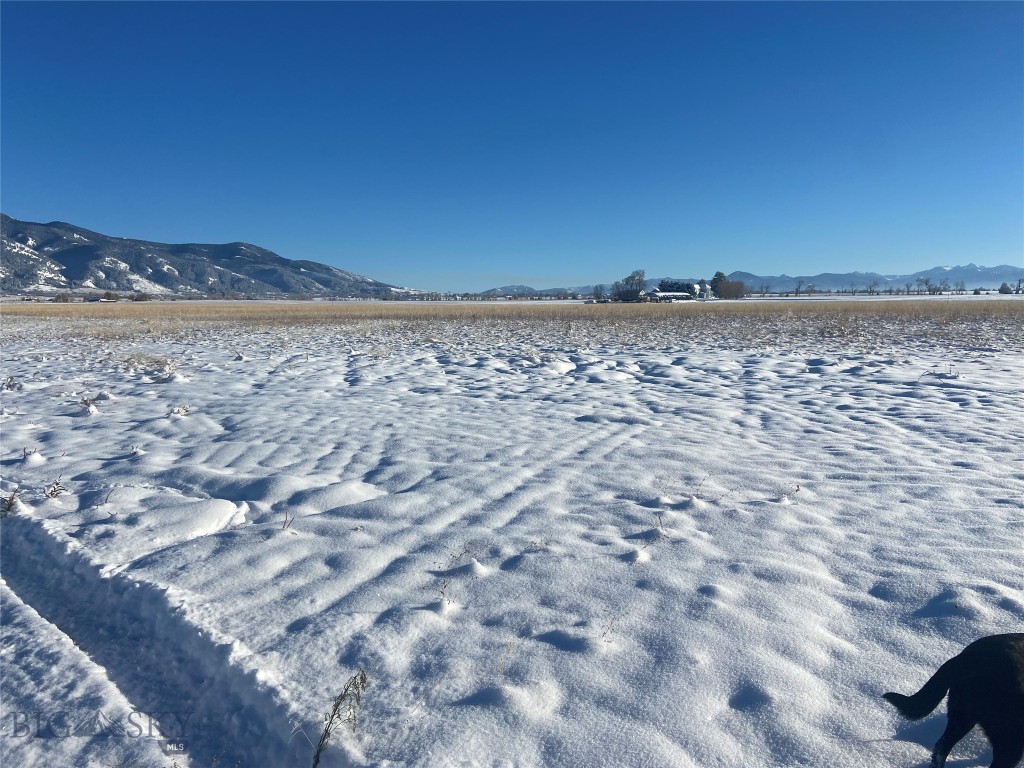 6114 SPRINGHILL Road