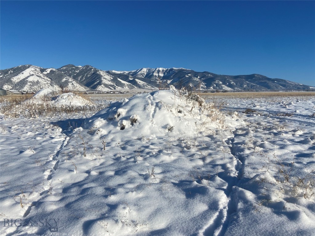 6114 SPRINGHILL Road