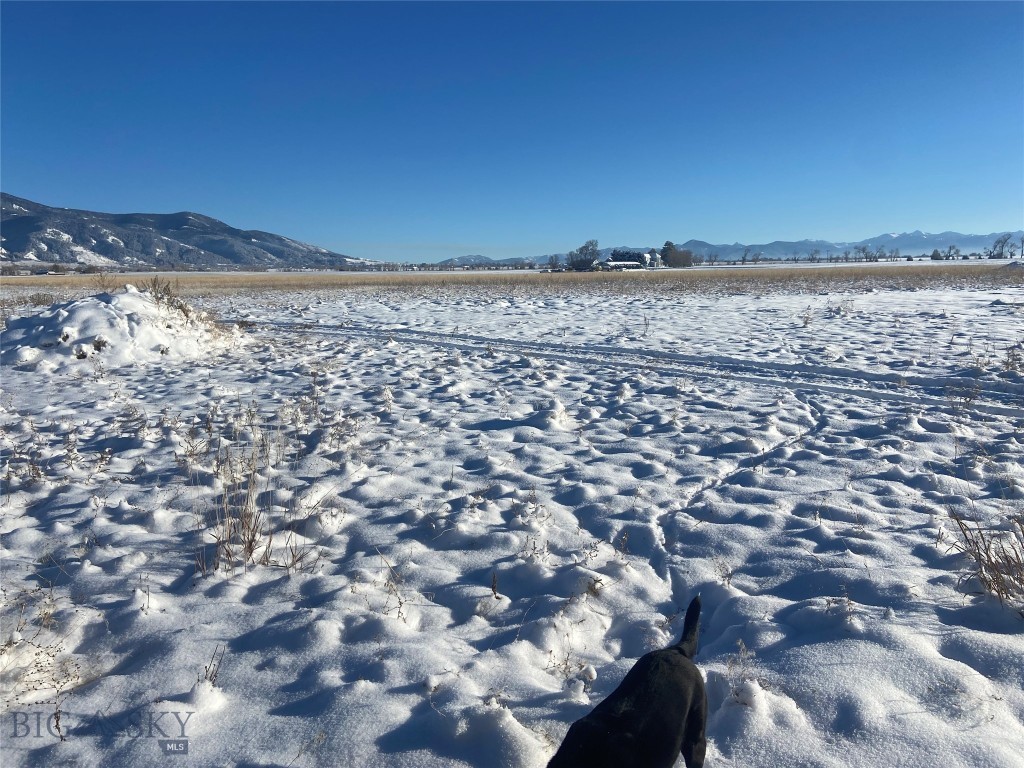 6114 SPRINGHILL Road