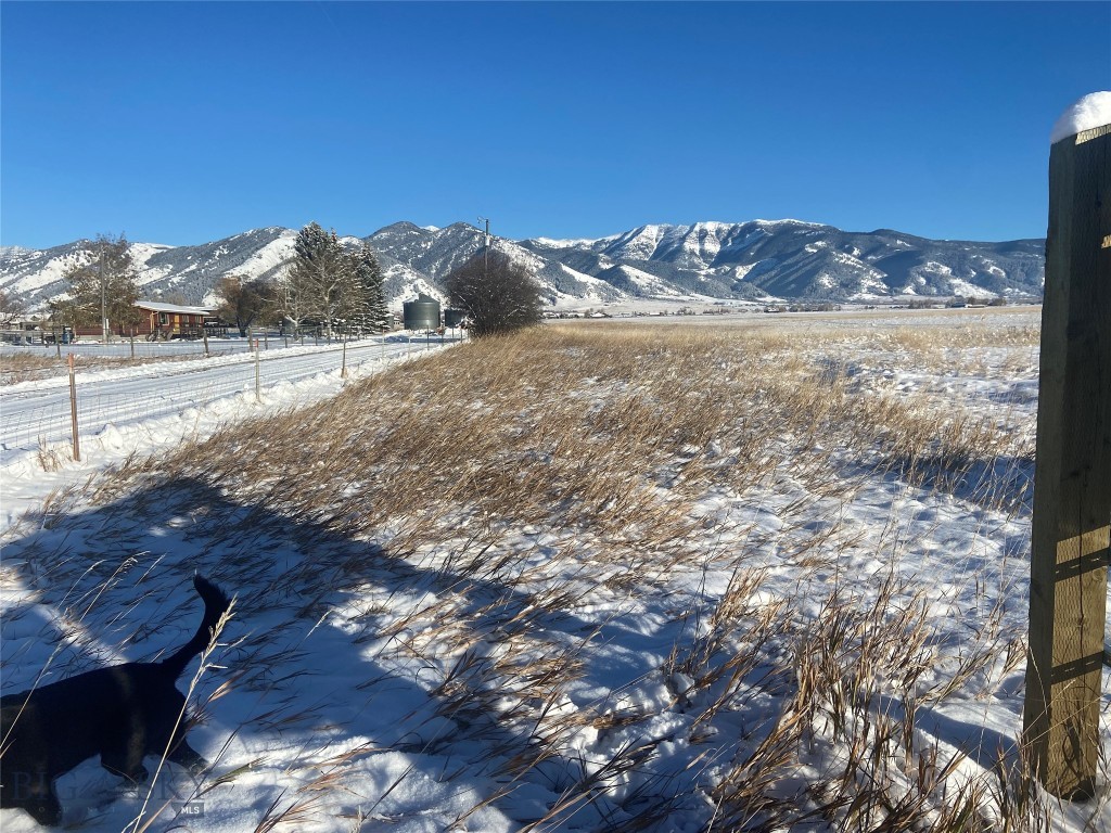 6114 SPRINGHILL Road