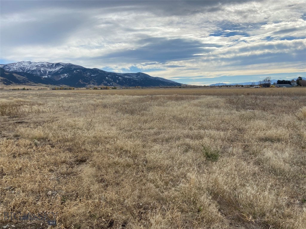 6114 SPRINGHILL Road