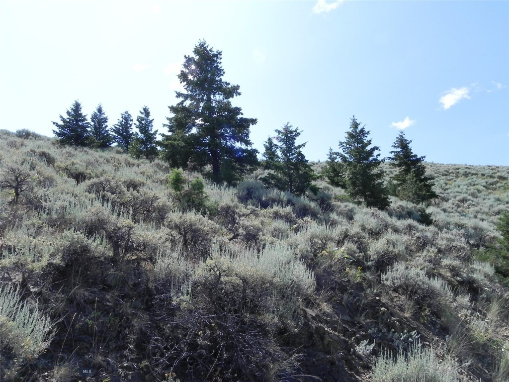 Lot 355 Pole Gulch
