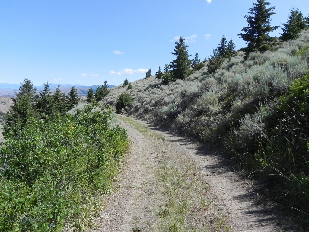 Lot 355 Pole Gulch