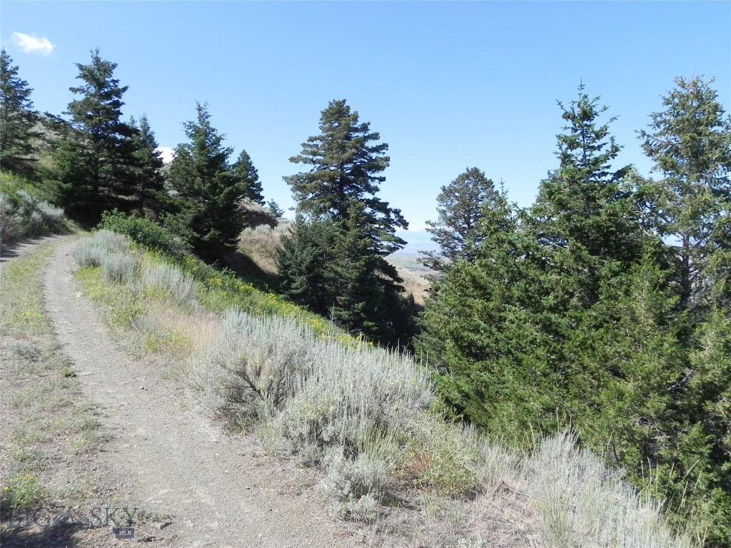 Lot 355 Pole Gulch