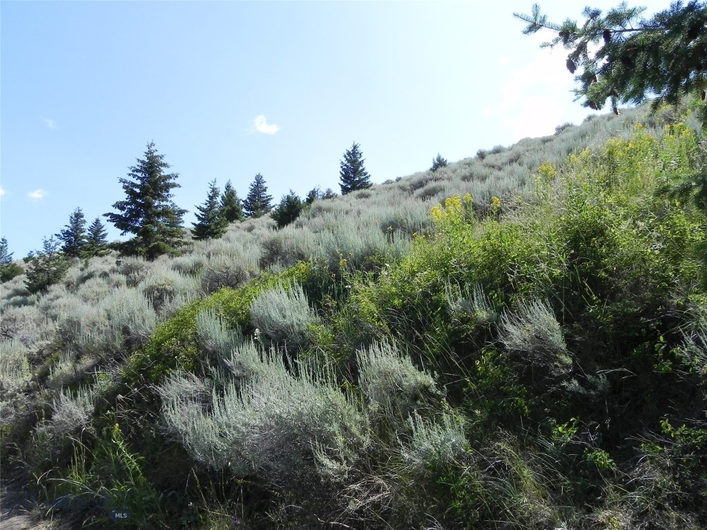 Lot 355 Pole Gulch