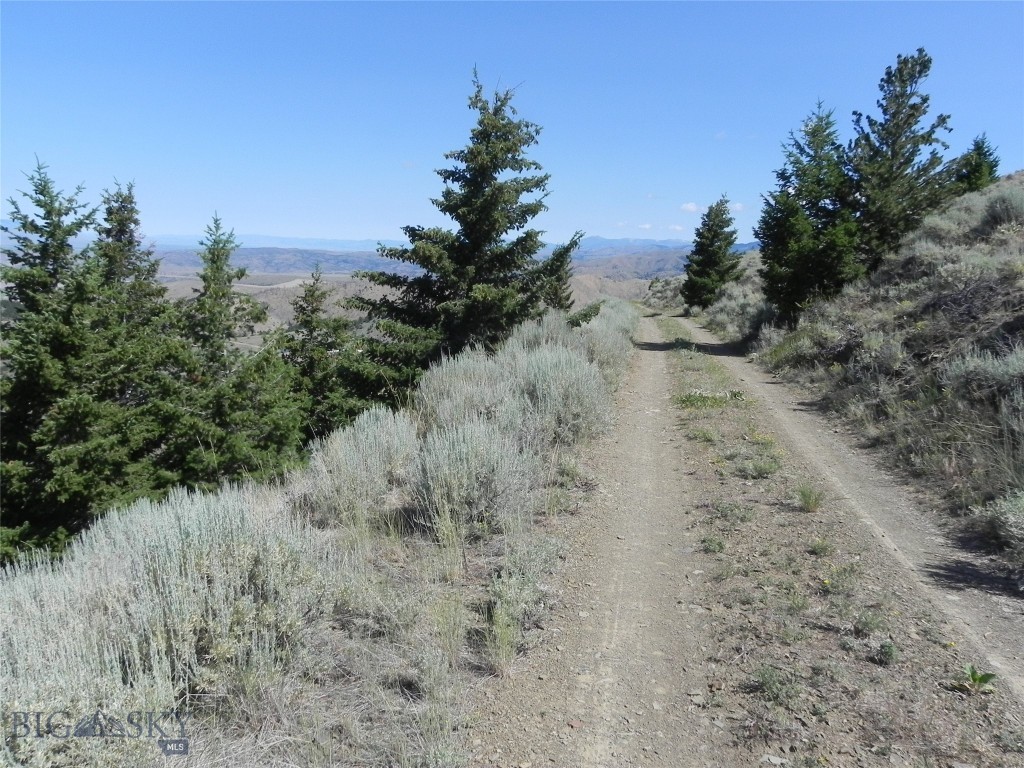 Lot 355 Pole Gulch