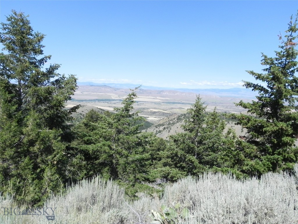 Lot 355 Pole Gulch