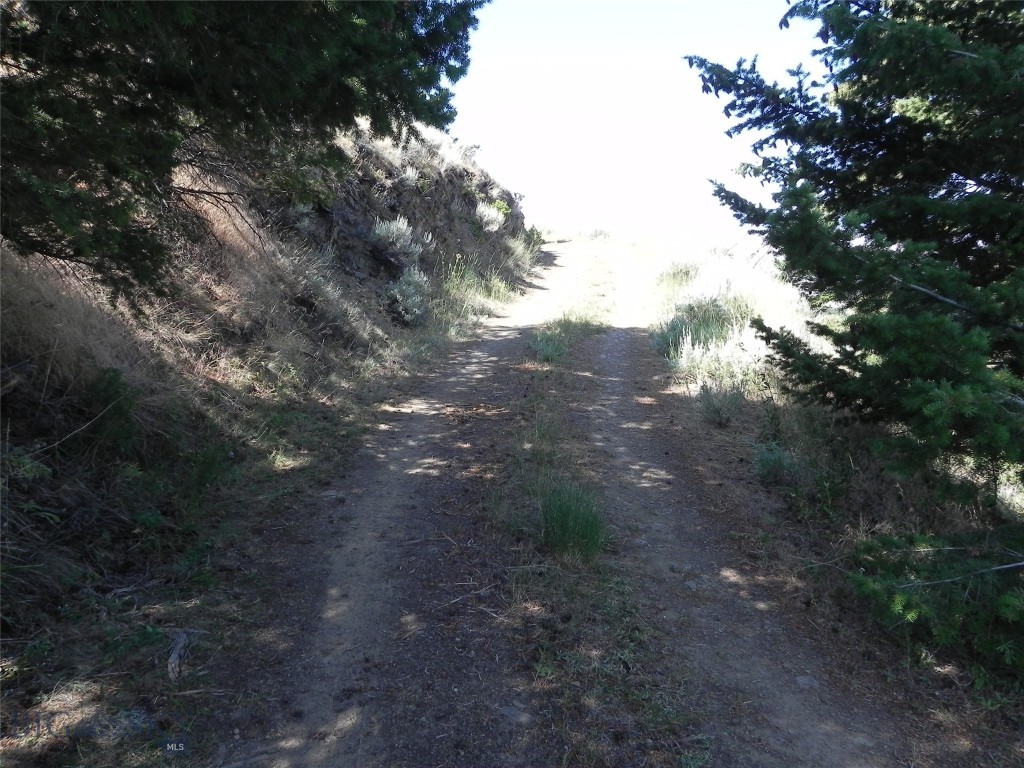 Lot 355 Pole Gulch
