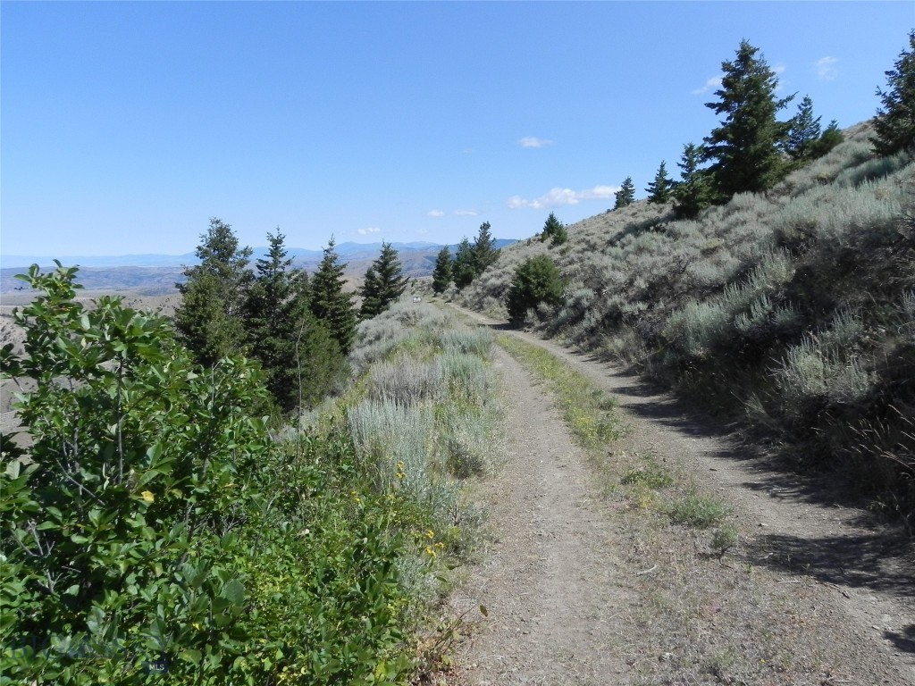 Lot 355 Pole Gulch