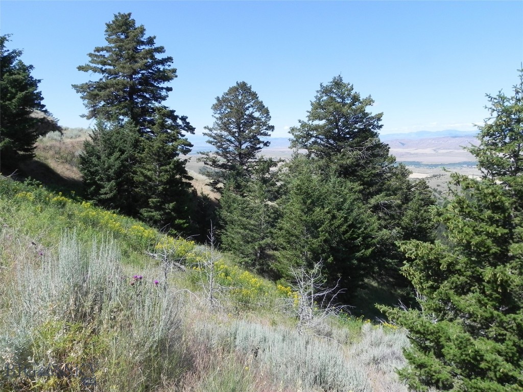 Lot 355 Pole Gulch