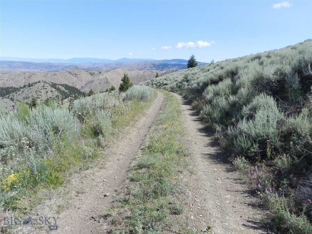 Lot 358 Pole Gulch