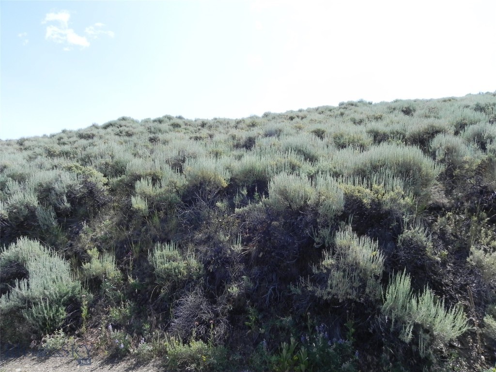 Lot 358 Pole Gulch