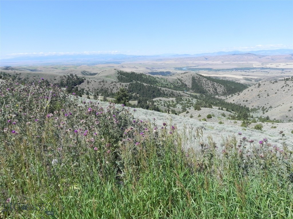 Lot 358 Pole Gulch