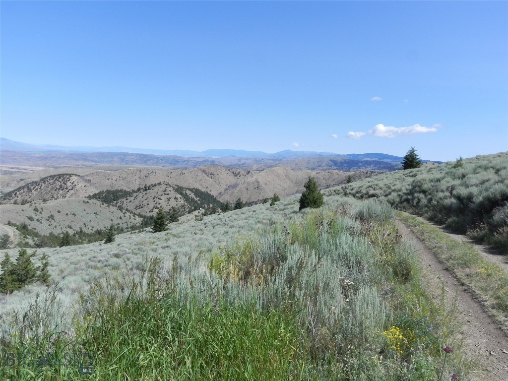 Lot 358 Pole Gulch
