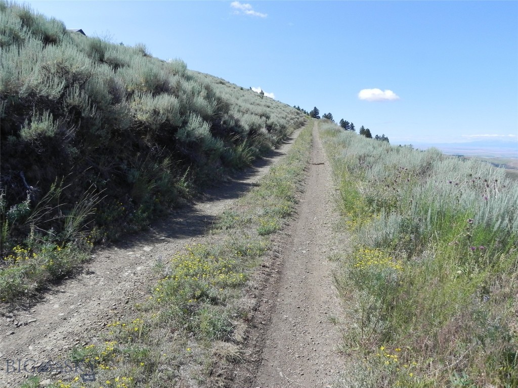Lot 358 Pole Gulch