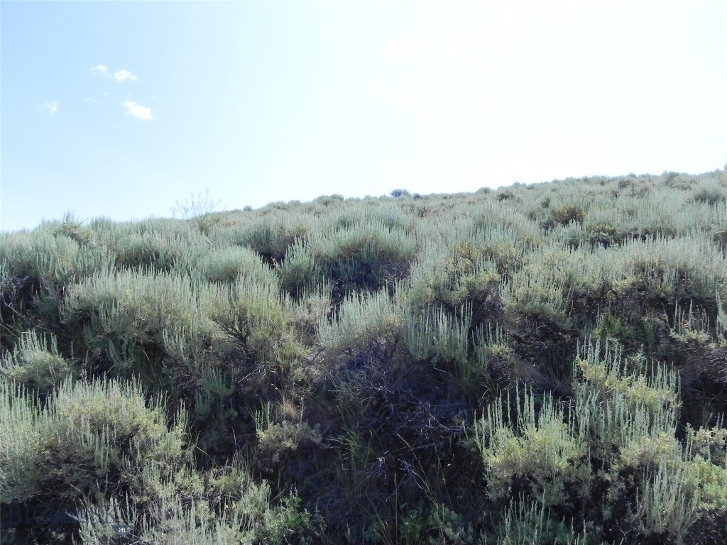 Lot 358 Pole Gulch