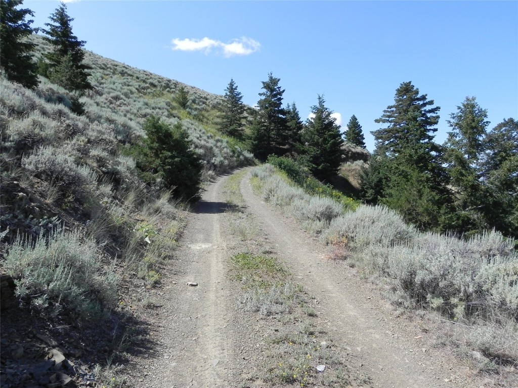 Lot 358 Pole Gulch