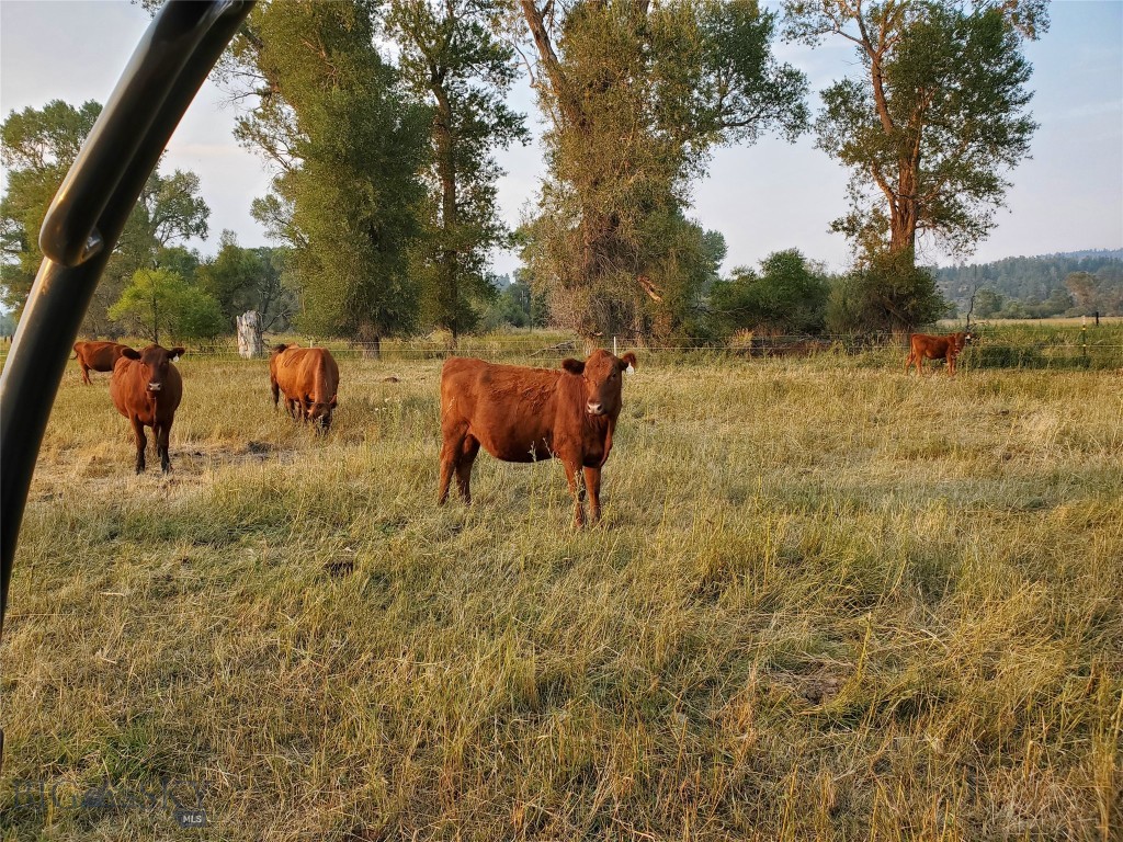 TBD Frontage Rd
