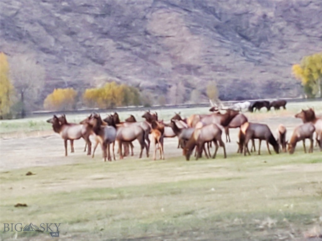 TBD Frontage Rd