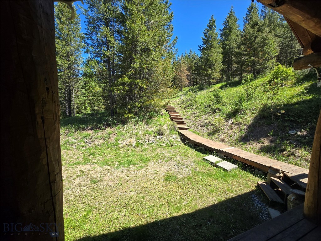 TBD Woodchuck